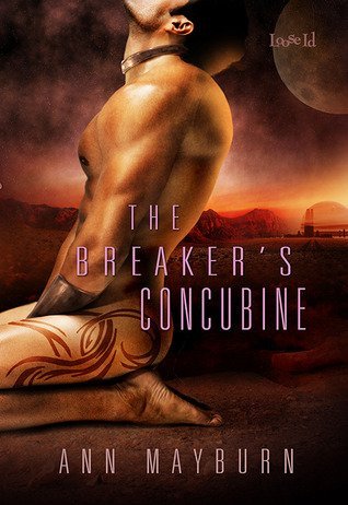 Review: The Breaker’s Concubine by Ann Mayburn