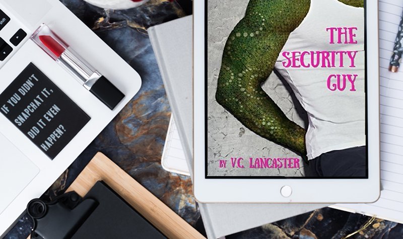 Review: The Security Guy by V.C. Lancaster