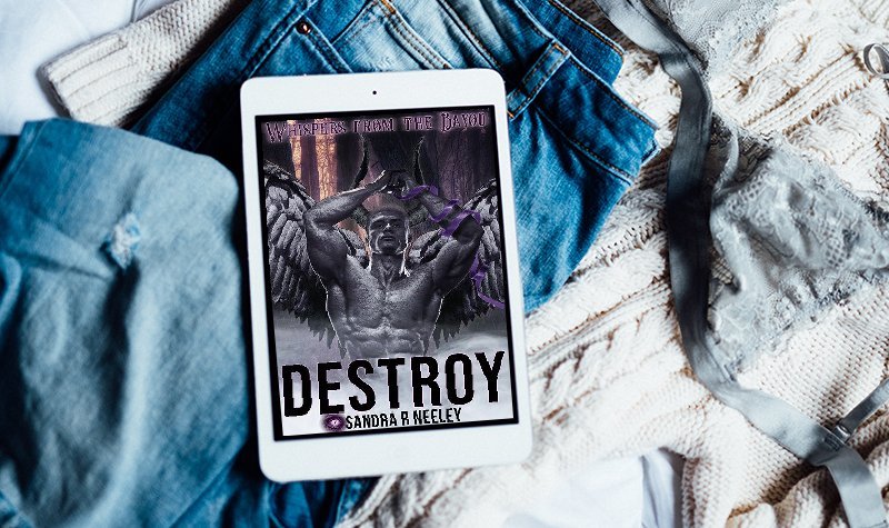 Review: Destroy by Sandra R Neeley
